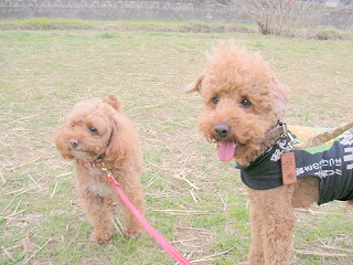09.02.13.東村山031.jpg