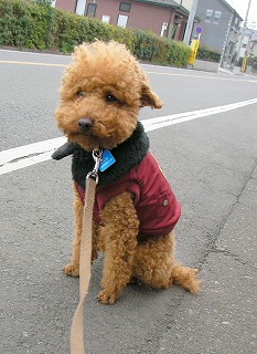 08.02.12.もび022.jpg