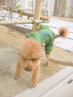 09.03.11.東村山・所沢005.jpg
