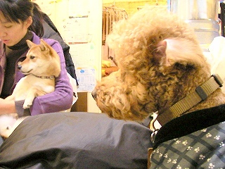 09.01.29.もび055.jpg