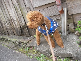 07.12.11.もび011.jpg
