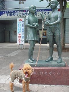 08.06.11-12.鬼怒川002.jpg