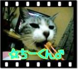 imgc0c690b6zik6zjちーくんサマ.jpg