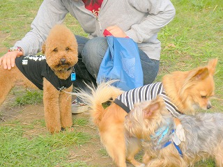08.04.03.もび032.jpg