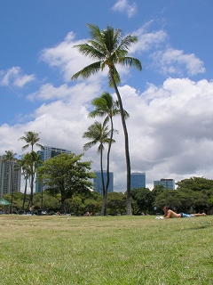 09.07.01.hawaii012.jpg